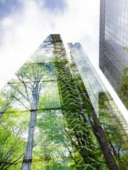 Ahorro y eficiencia energética: ¿cómo contribuyen los hogares, la Administración y el comercio?