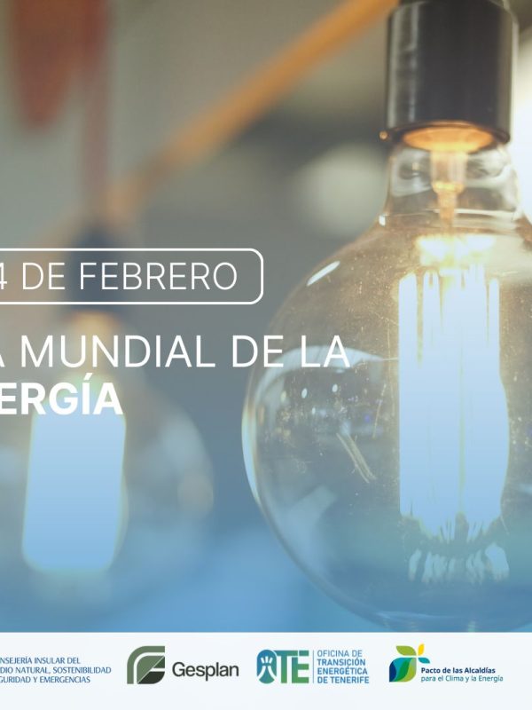 Día Mundial de la Energía