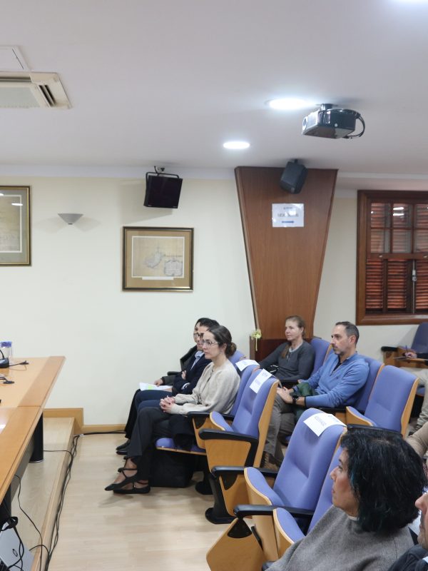 El Cabildo de Tenerife presenta una nueva herramienta para combatir la pobreza energética