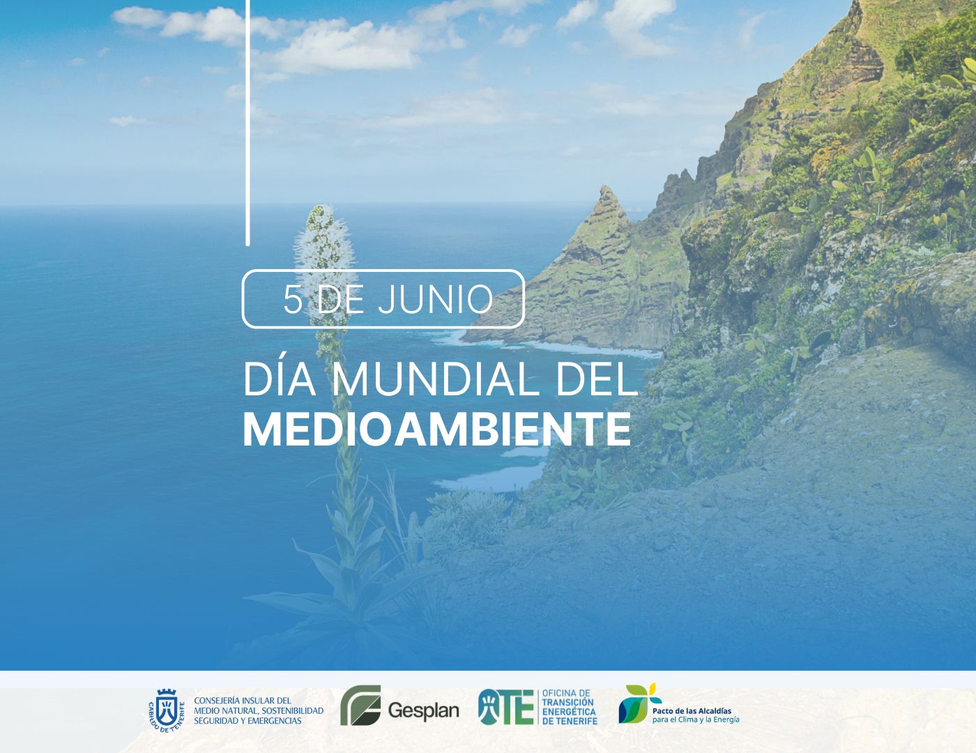 Acción climática en Tenerife: el planeta habla, la isla responde