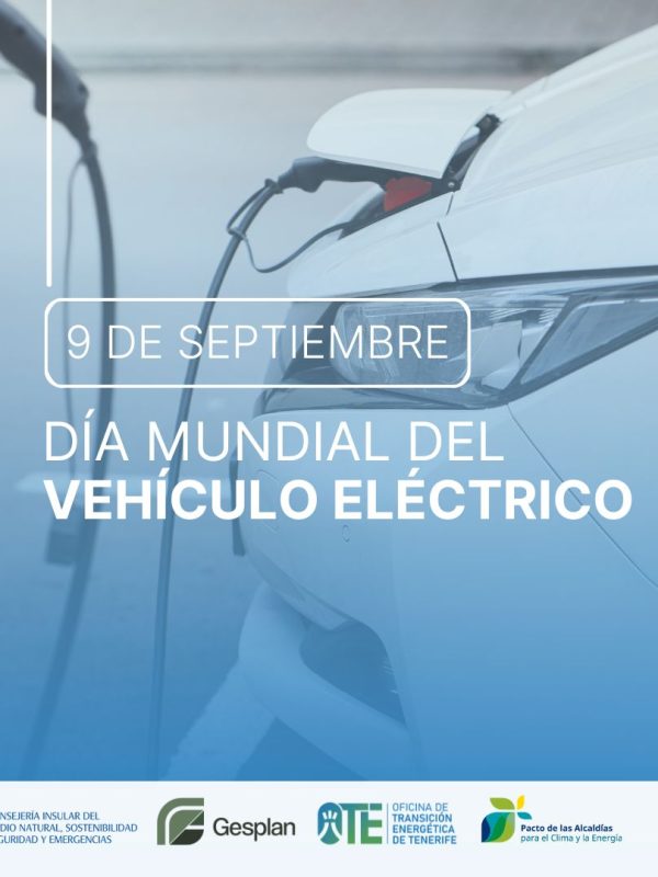Ayudas para comprar un vehículo eléctrico en Tenerife: ahorra hasta 9.000 €