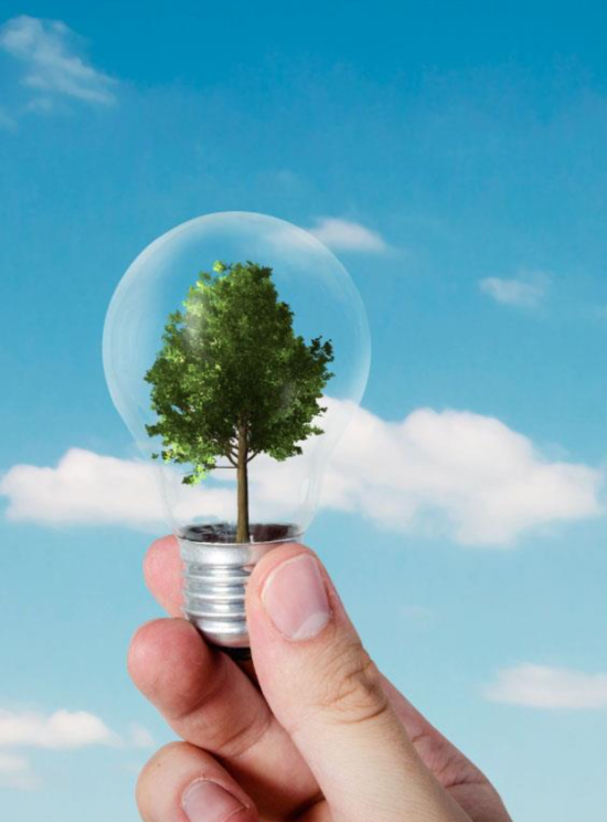 Transición Ecológica y el Reto Demográfico inicia el proceso participativo para diseñar la Estrategia de Transición Justa 2026-2030